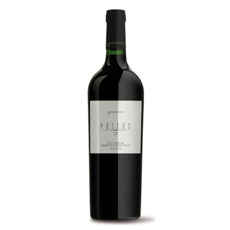 negroamaro | Mocavero, doc Salice Salentino riserva, Apulië, Italië, 2020